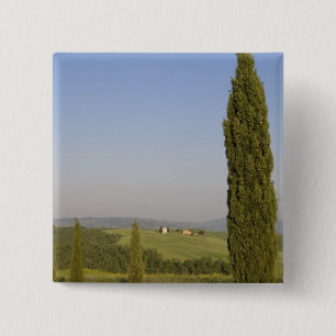 Bóton Quadrado 5.08cm Campestre perto de Pienza. Val d'Orcia, Siena