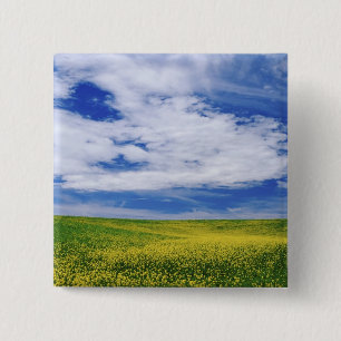 Bóton Quadrado 5.08cm Campo de flores canola ou mostarda, Palouse
