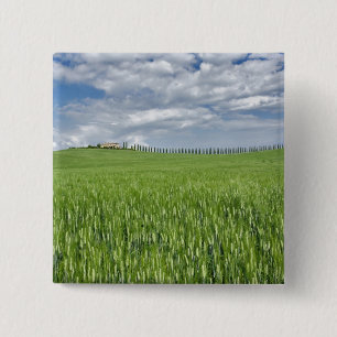 Bóton Quadrado 5.08cm Campo de trigo e estrada ladeada por ciprestes maj