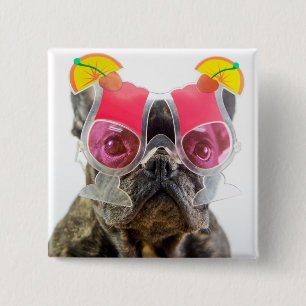 Bóton Quadrado 5.08cm Cão das imagens de Getty com vidros de cocktail