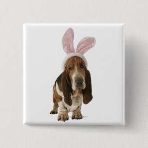 Bóton Quadrado 5.08cm Cão de Basset com orelhas do coelho
