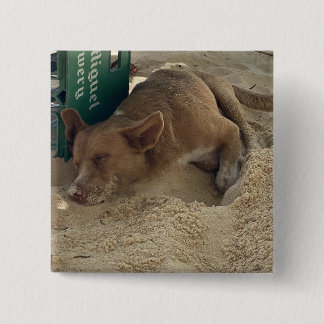 Bóton Quadrado 5.08cm Cão dormindo