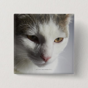 Bóton Quadrado 5.08cm Cara de um gato