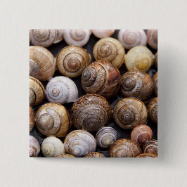 Bóton Quadrado 5.08cm Caracóis