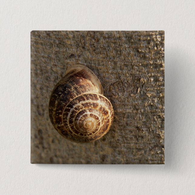 Bóton Quadrado 5.08cm Caracol (Frente)