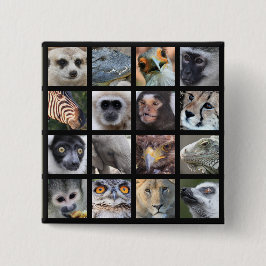 Bóton Quadrado 5.08cm Caras do animal selvagem -- Mamíferos, répteis,