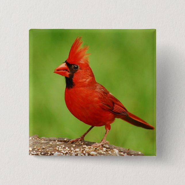 Bóton Quadrado 5.08cm Cardinal (Frente)