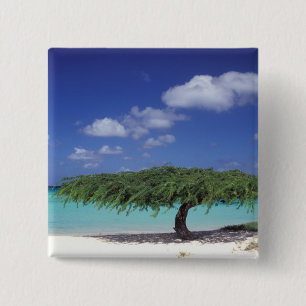 Bóton Quadrado 5.08cm Caribe, Aruba. Praia da Águia