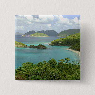 Bóton Quadrado 5.08cm Caribe, Ilhas Virgens dos EUA, St. John, Tronco 2