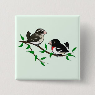 Bóton Quadrado 5.08cm Casal do Grosbeak do Rosa-breasted