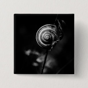 Bóton Quadrado 5.08cm cauda do caracol