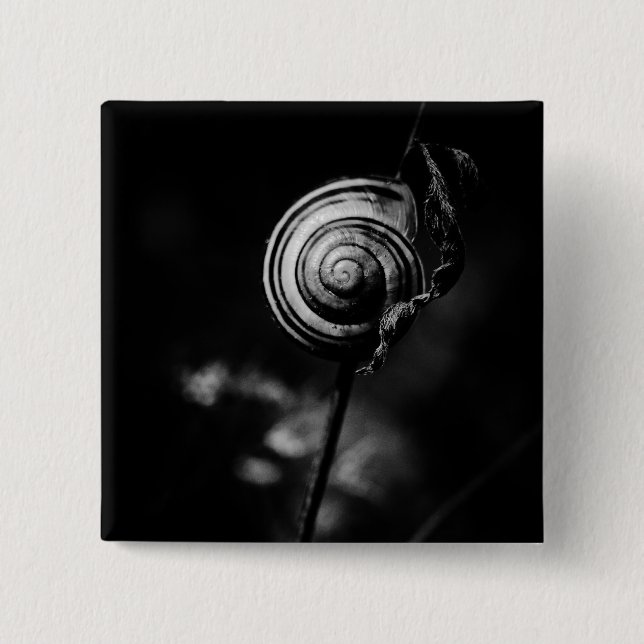 Bóton Quadrado 5.08cm cauda do caracol (Frente)