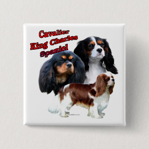 Bóton Quadrado 5.08cm Cavalier King Charles Spaniel Trio 2 - Botão