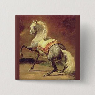 BÓTON QUADRADO 5.08CM CAVALO DE CINZA DAPPLED