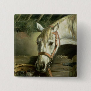 Bóton Quadrado 5.08cm Cavalo e gatinhos, 1890