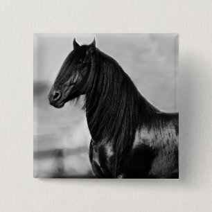 Bóton Quadrado 5.08cm Cavalo orgulhoso do garanhão do preto do frisão