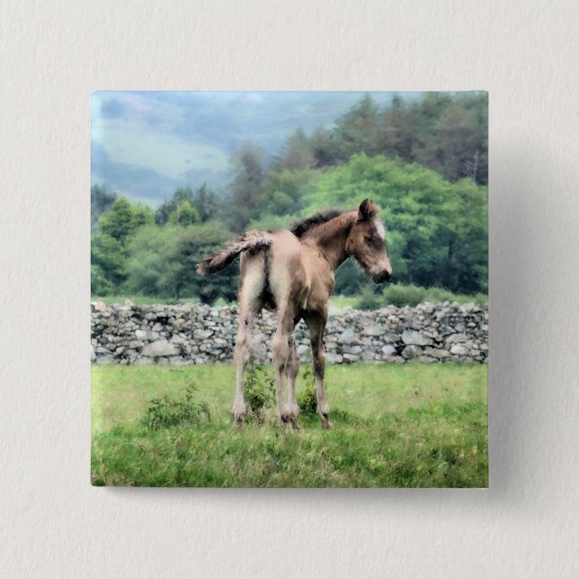 BÓTON QUADRADO 5.08CM CAVALOS (Frente)
