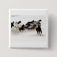 Cavalos na neve