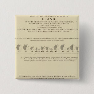 Bóton Quadrado 5.08cm Cegueira, Literatura Estatística dos EUA 1870