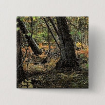 Cena da floresta do outono