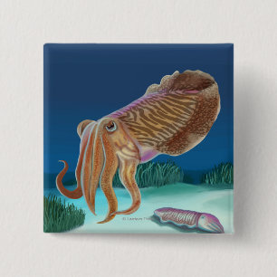 Bóton Quadrado 5.08cm Cena de Massachusetts Cuttlefish