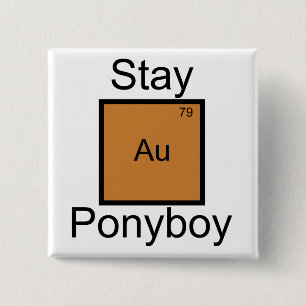 Bóton Quadrado 5.08cm Chalaça Dourado do elemento de Ponyboy da estada