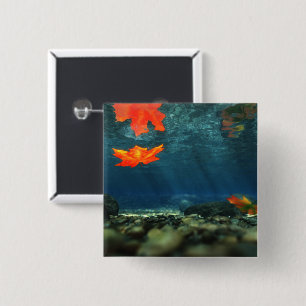 Bóton Quadrado 5.08cm Chama no Botão Água