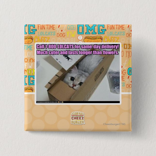 Bóton Quadrado 5.08cm Chamada 1-800-LOLCATS (Frente)