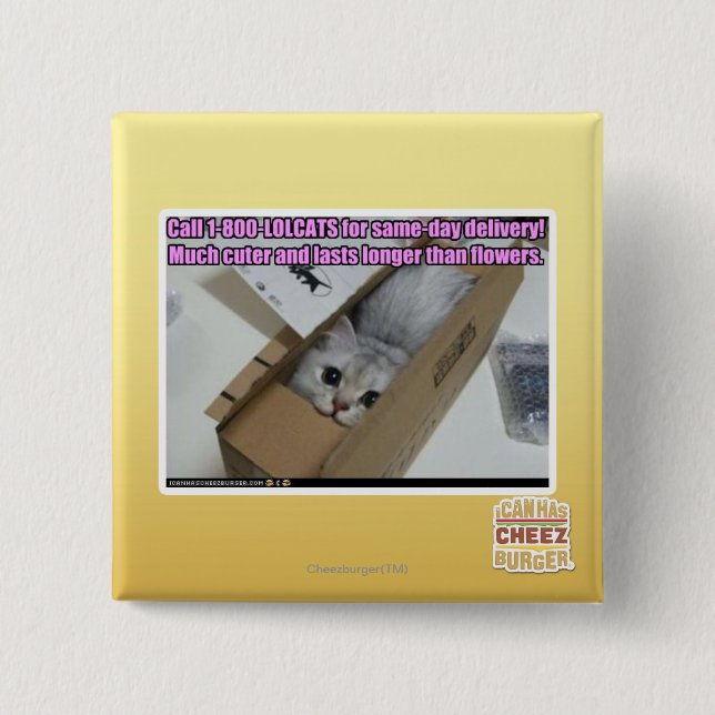 Bóton Quadrado 5.08cm Chamada 1-800-LOLCATS (Frente)
