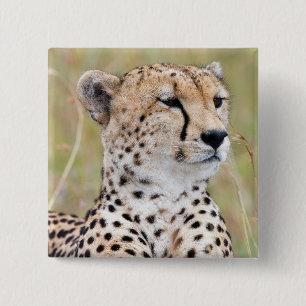 Bóton Quadrado 5.08cm Cheetah