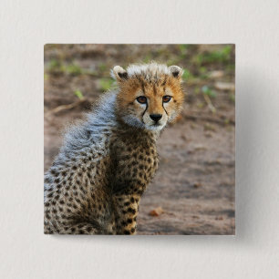 Bóton Quadrado 5.08cm Cheetah Cub Acinonyx Jubatus)