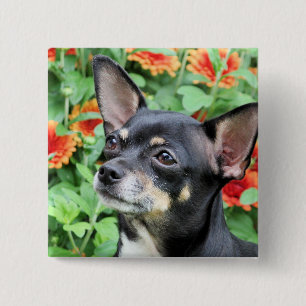 Bóton Quadrado 5.08cm Chihuahua - Isabella - foto 41