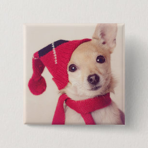 Bóton Quadrado 5.08cm Chihuahua no boné do inverno