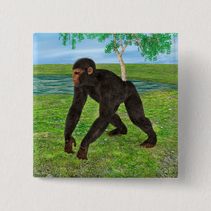 Bóton Quadrado 5.08cm Chimpanzé
