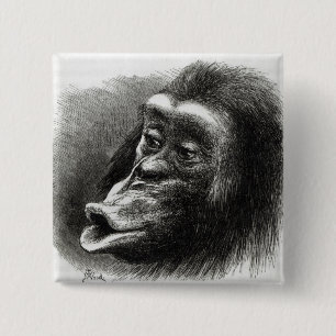 Bóton Quadrado 5.08cm Chimpanzé decepcionado e Sulky