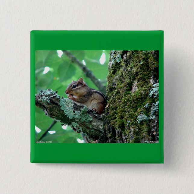Bóton Quadrado 5.08cm Chipmunk doce em um Roupa de árvore e presentes (Frente)