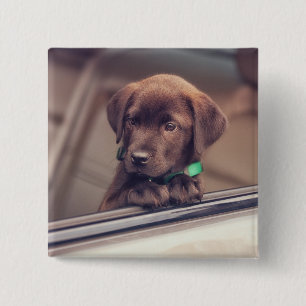 Bóton Quadrado 5.08cm Chocolate Labrador Pupido No Carro