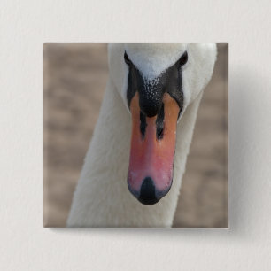 Bóton Quadrado 5.08cm Cisne