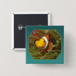Bóton Quadrado 5.08cm Clownfish in green anemone. Photographic Design | 