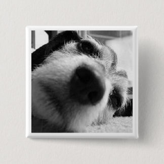 Bóton Quadrado 5.08cm Cobrir retrospectivo