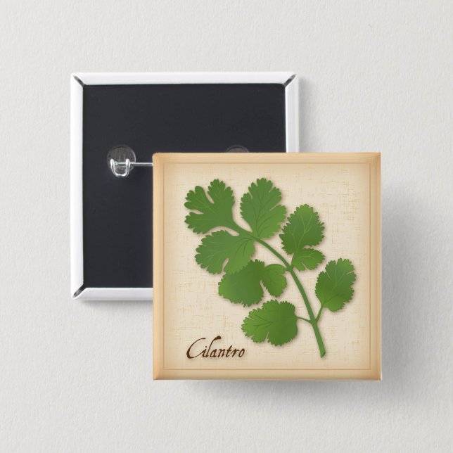 Bóton Quadrado 5.08cm Coentro Erva (Cilantro Herb Button, aromatic leaves with a distinctive flavor.)