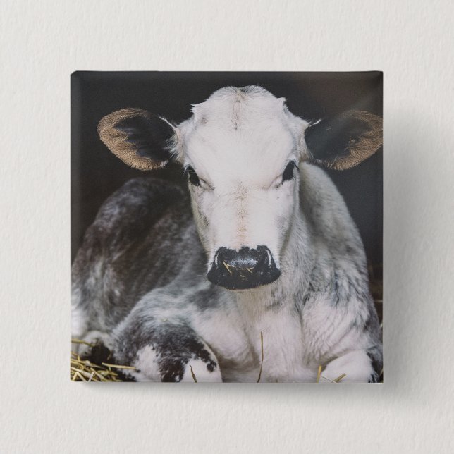 Bóton Quadrado 5.08cm Colheita ocupada do dia (Frente)