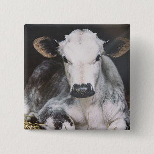 Bóton Quadrado 5.08cm Colheita ocupada do dia