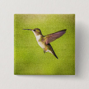 Bóton Quadrado 5.08cm Colibri da aguarela