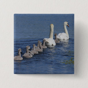 Bóton Quadrado 5.08cm Comboio de cisnes