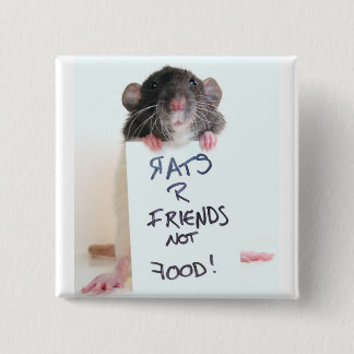 Bóton Quadrado 5.08cm Comida 2 dos amigos dos ratos R não