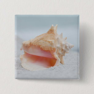 Bóton Quadrado 5.08cm Conch Shell
