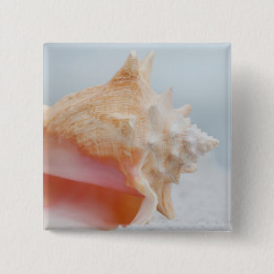Bóton Quadrado 5.08cm Conch Shell Florida