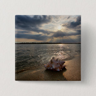 Bóton Quadrado 5.08cm Conch Shell na praia St Augustine, Fl