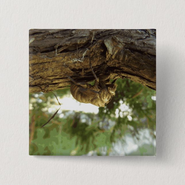 Bóton Quadrado 5.08cm Concha de Cicada. Estava com pressa. (Frente)